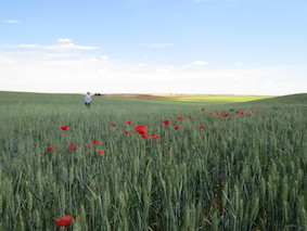 Promotion of sustainable farming in Natura 2000 areas in Spain